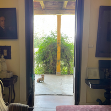 Cargar imagen en el visor de la galería, Full Tour Don Enrique