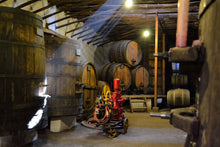 Cargar imagen en el visor de la galería, Fiesta de la Vendimia