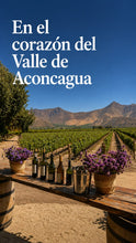 Cargar imagen en el visor de la galería, Dia del Vino 05 de Septiembre
